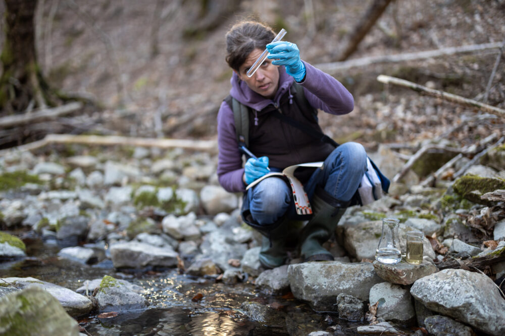 Wooded stream, water tester kneeling with gloves and boots, foreground lab glassware, overcast, documentary style, person present.