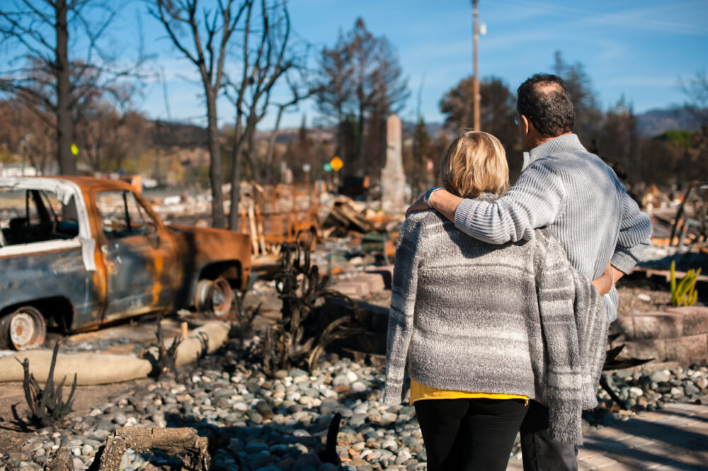 Burned forest, couple embracing center, charred debris foreground, overcast daylight, documentary style, two people.