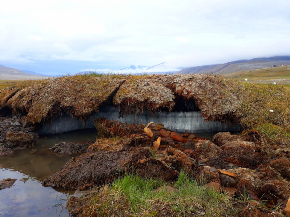 Permafrost tundra, exposed earth collapse, foreground water pools, overcast daylight, documentary style, no people.
