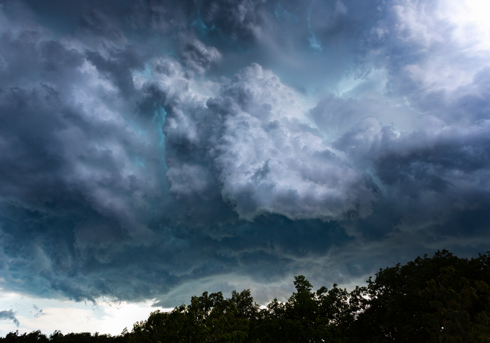 Forest edge, storm clouds overhead, tree silhouettes below, dusk lighting, editorial travel photo, no people.